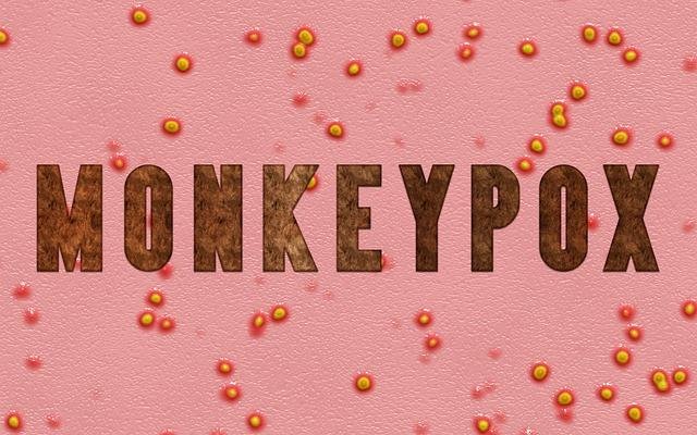 what is monkeypox?